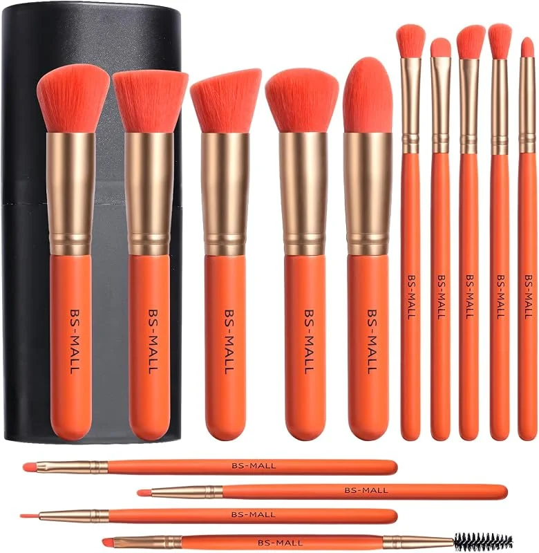 BS-MALL Lot de 14 pinceaux de maquillage avec étui – Pinceau à fond de teint, pinceau anti-cernes